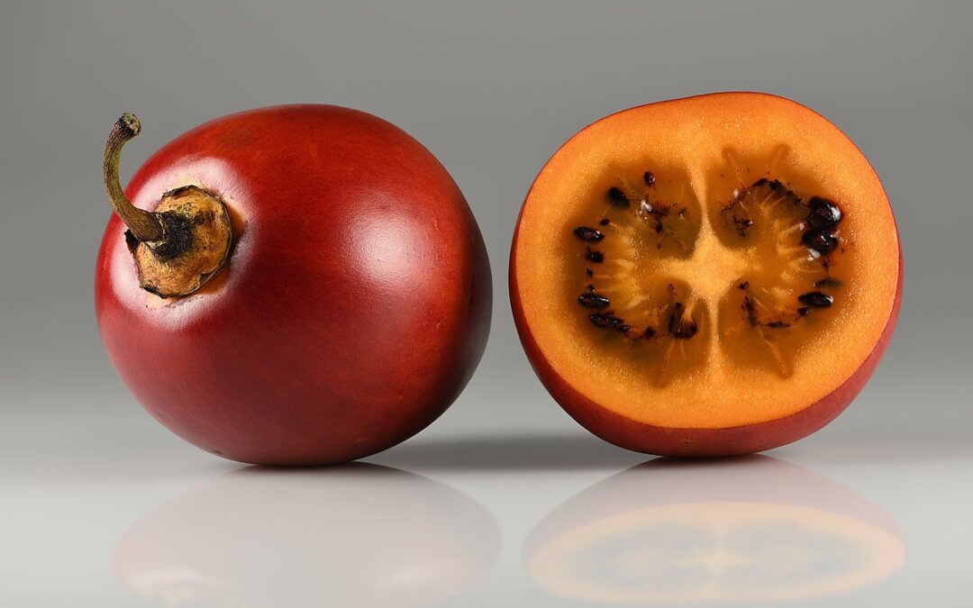 Tomate de Árbol