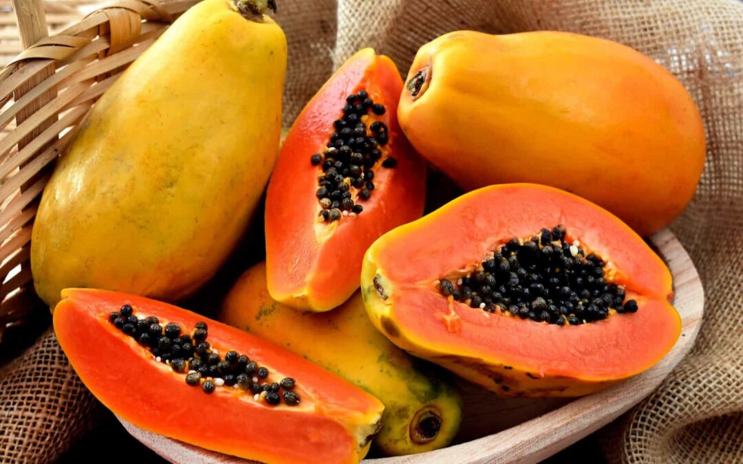 Papaya