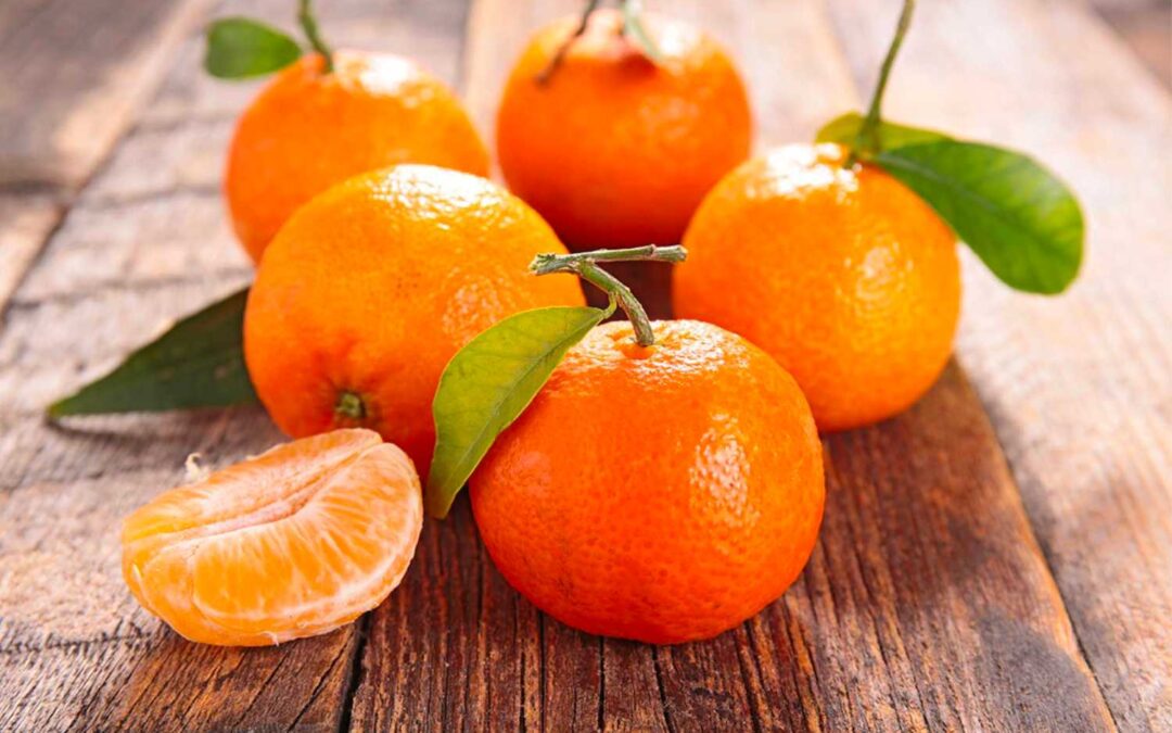 Naranjo Clementina Marisol